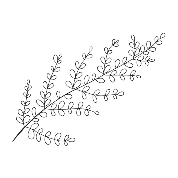 線画や輪郭線画の植物ベクター 手描きのウェディングハーブ — ストックベクタ
