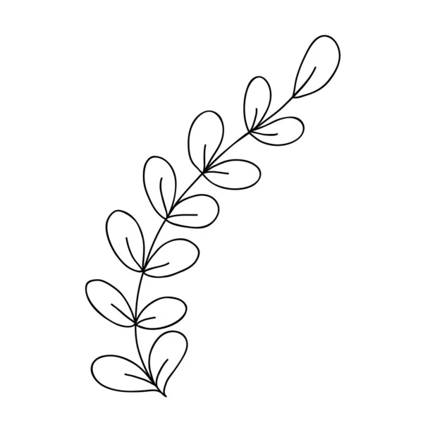 Illustration Croquis Vectoriels Vecteur Botanique Dans Art Linéaire Contour Herbe — Image vectorielle