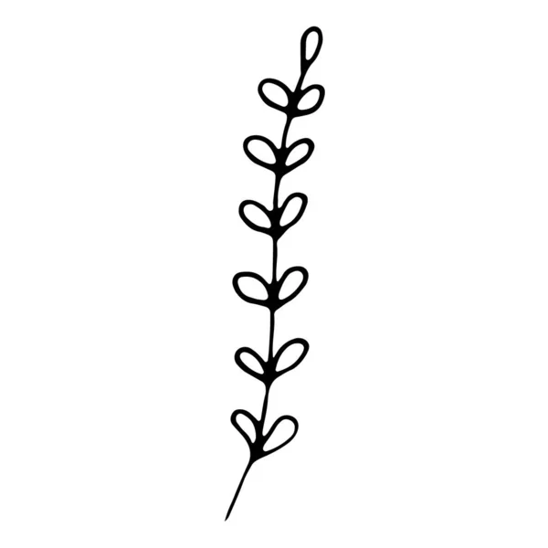 Модный Абстрактный Органический Графический Элемент Искусство Листвы Натуральные Листья Травы — стоковый вектор