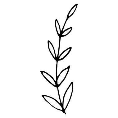 Tasarım davetiyesi için dekorasyon unsuru, düğün kartları, sevgililer günü. Basit karalama simgesi