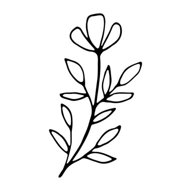 El çizimi çiçek karalaması. Çiçek hattı sanat logosu elementi. Tasarım davetiyesi, düğün kartı, sevgililer günü için dekorasyon ögesi.