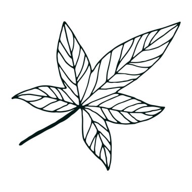 Beyaz üzerine izole edilmiş soyut bir yaprak. Sevimli, tek elle çizilmiş bitkisel element.