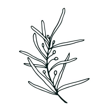 Sosyal medya hikayesi için çiçek el karalama ikonu çizdi. Mürekkep çizili dal