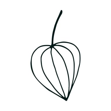 Çizgi sanatı veya ana hatlarında botanik vektörü.