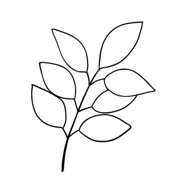 Sosyal medya hikayesi için çiçek el karalama ikonu çizdi. Mürekkep çizili dal