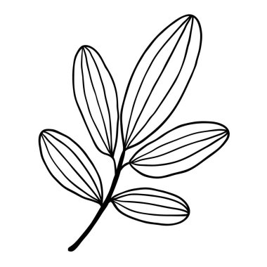 Sevimli tek el bitkisel element çizmiş. Basit karalama simgesi