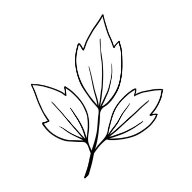 Sevimli, tek elle çizilmiş bitkisel element.