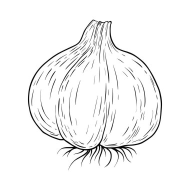 El yapımı sarımsak beyaza izole edilmiş.