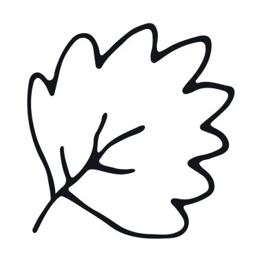 soyut kontur yaprağı beyaz üzerinde izole