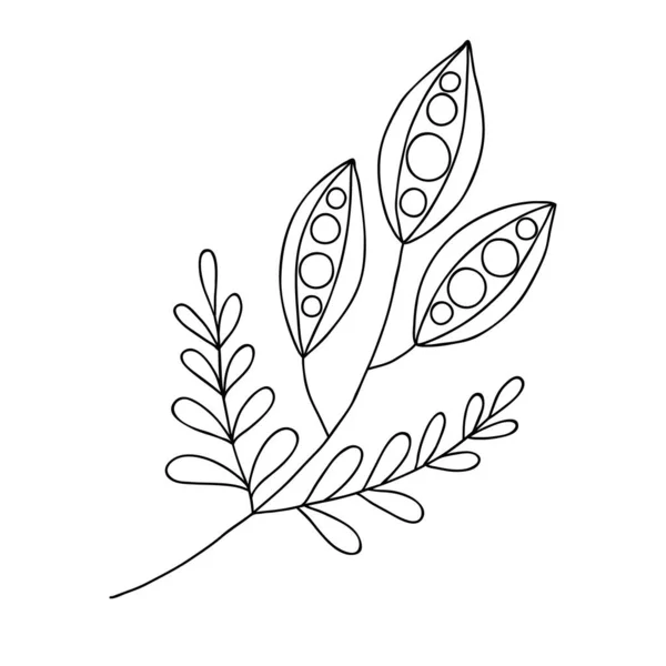 Herbe Mariage Dessinée Main Plante — Image vectorielle