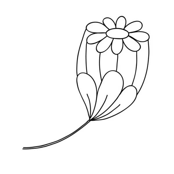 Element Loga Flower Line Art — Stockový vektor