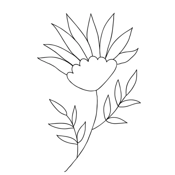 Цветочные Каракули Симпатичный Одноручный Травяной Элемент — стоковый вектор