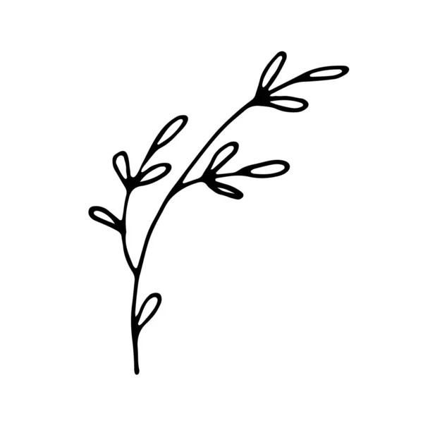 Feuille Doodle Isolée Sur Blanc Floral Dessiné Main Icône Doodle — Image vectorielle