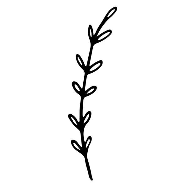 Květinová Ručně Kreslená Ikona Pro Příběh Sociálních Médií Větev Kreslená — Stockový vektor