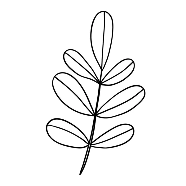 Mignon Seul Élément Base Plantes Dessiné Main — Image vectorielle