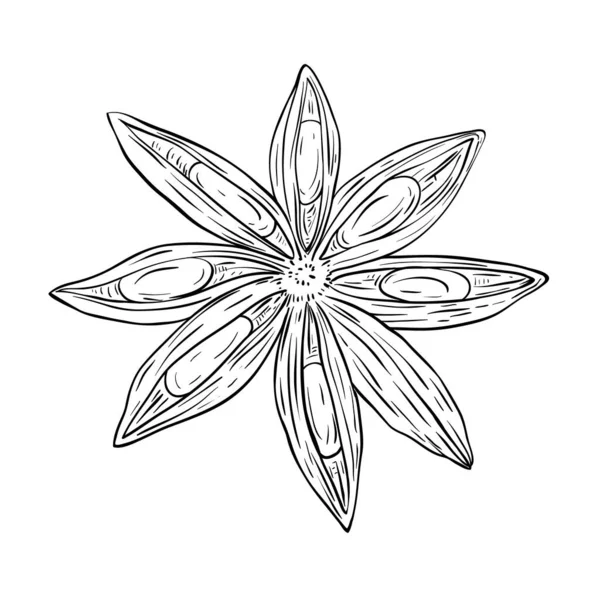 手工绘制的茴香星在白色上孤立 社交网络凸显故事图标 — 图库矢量图片
