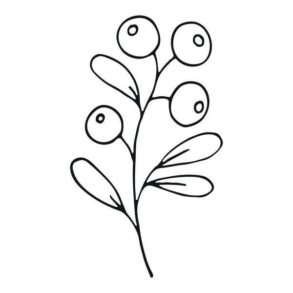 手绘结婚香草 简单的花卉涂鸦图标 — 图库矢量图片