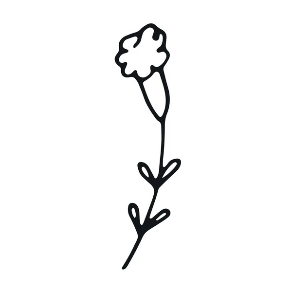 Vecteur Botanique Dans Art Linéaire Contour Icône Gribouillage Floral Simple — Image vectorielle