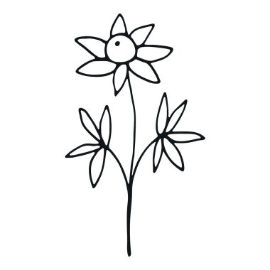 El çizimi çiçek karalaması. El yapımı düğün otu. Basit karalama simgesi