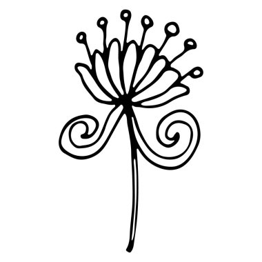 Resim kitabı dekorasyonu için el çizimi çiçek karalama elementi. Soyut çiçek ögesi