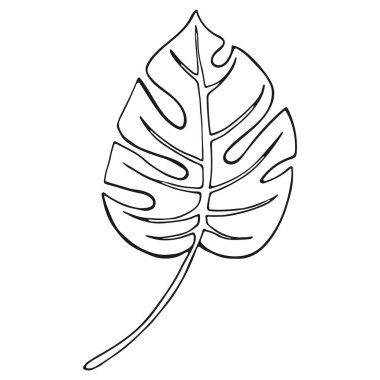 Soyut tropikal yaprak beyaza izole edilmiş. Mürekkep çizgisi tropikal yaprak çizmiş. Philodendron Yaprağı