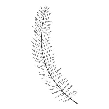 Soyut tropikal yaprak beyaza izole edilmiş. Sevimli, tek elle çizilmiş bitkisel element.