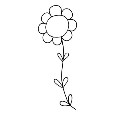 Sosyal medya hikayesi için çiçek ikonu. El çizimi papatya çayı