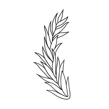 Yapraklı el yapımı dekoratif dal mı? Sosyal ağlar, web, reklamcılık için tasarım