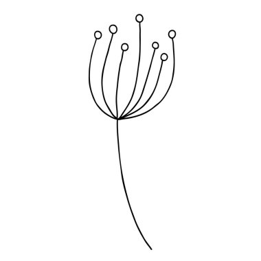 Sevimli tek el bitkisel element çizmiş. Çizgi ya da dış hatlarda botanik vektörü. Tasarım davetiyesi, düğün kartı, sevgililer günü için dekorasyon ögesi.