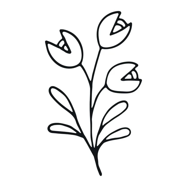 Handgezeichnetes Blumen Doodle Handgezeichnetes Hochzeitskraut Einfache Florale Doodle Ikone — Stockvektor