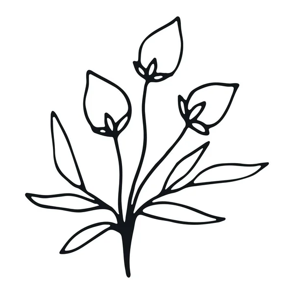 Handgezeichnetes Blumen Doodle Handgezeichnetes Hochzeitskraut Einfache Florale Doodle Ikone — Stockvektor