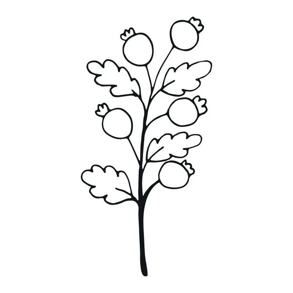 Рука Намальована Квітка Каракулі Елемент Прикраси Фото Книги — стоковий вектор