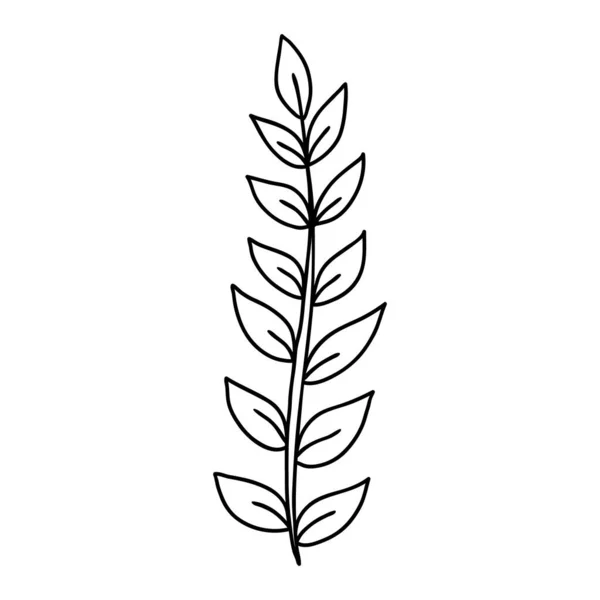 Рука Намальована Квітка Каракулі Елемент Прикраси Фото Книги Гілка Логотипу — стоковий вектор