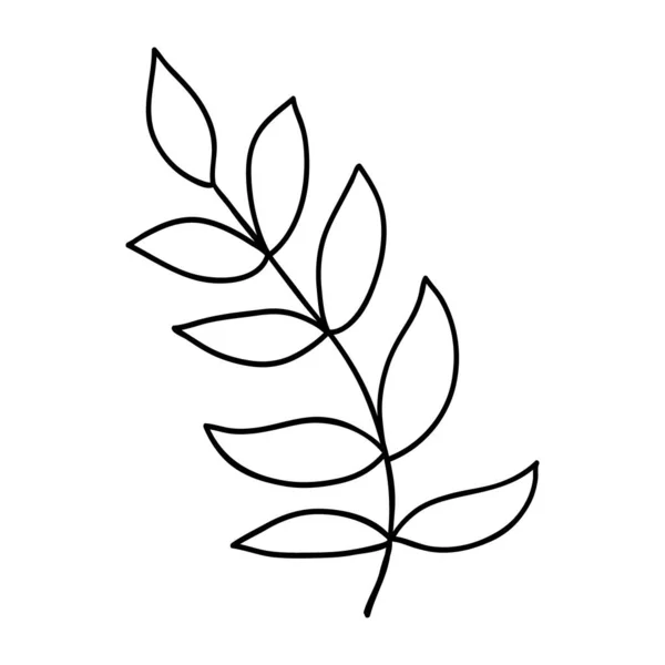 Абстрактний Контурний Лист Ізольований Білому Проста Квіткова Піктограма Каракулі — стоковий вектор