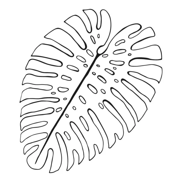 Abstraktes Tropisches Blatt Isoliert Auf Weiß Philodendronblatt — Stockvektor
