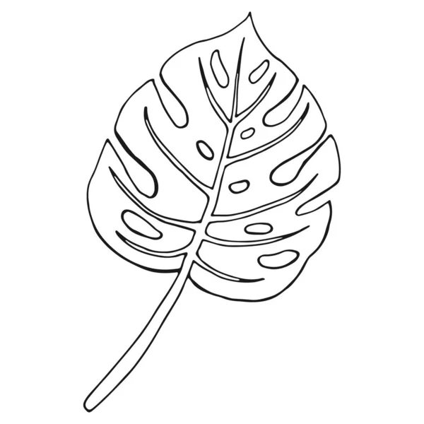 Monstera Leaf Line Art Графік Туру Листя Філодендрона — стоковий вектор