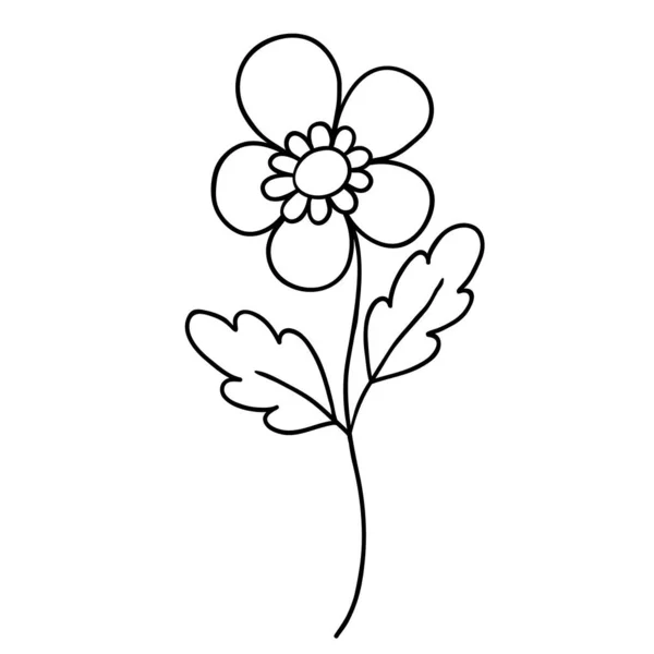 Ícone Doodle Floral Para História Mídia Social Camomila Doodle Desenhada —  Vetores de Stock