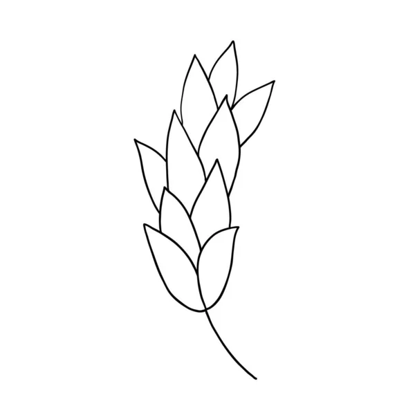 Dessin Contour Vectoriel Fleur Simple Contour Doodle — Image vectorielle
