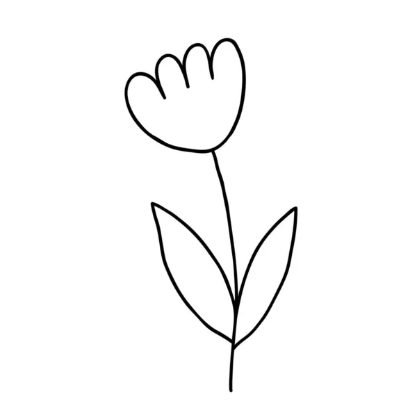 Ícone Doodle Floral Simples Dodle Única Flor Esboço — Vetor de Stock