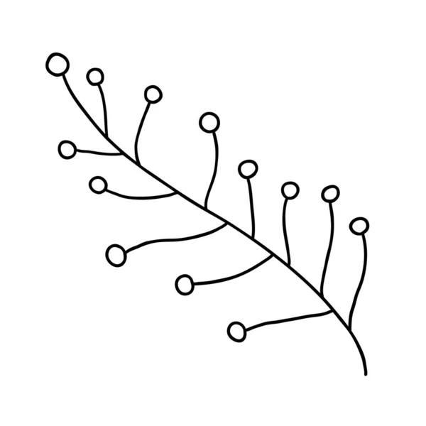 Roztomilý Ručně Kreslený Bylinný Prvek Jednoduchá Ikona Květinových Čmáranic — Stockový vektor