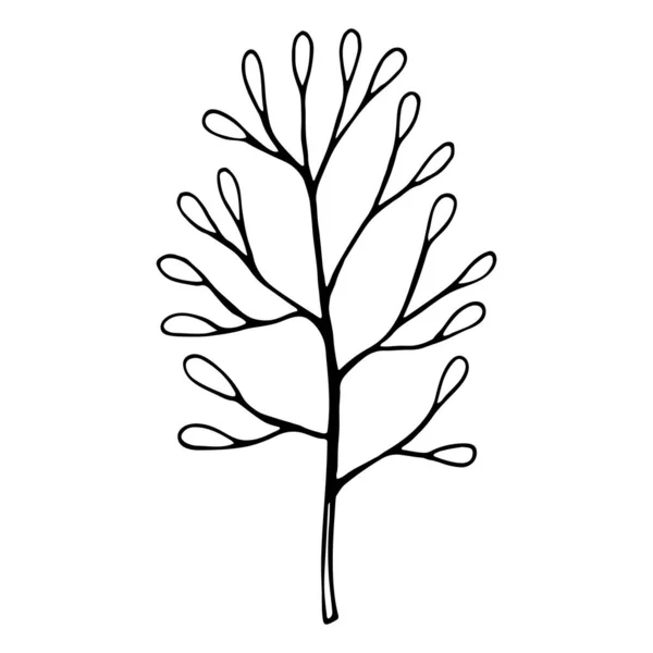 Dessin Contour Vectoriel Branche Décorative Dessinée Main Avec Feuilles — Image vectorielle