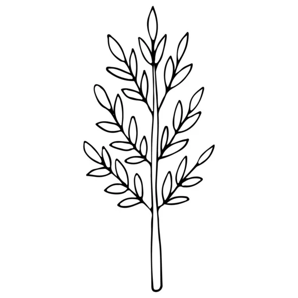 Árbol Estilizado Decorativo Ilustración Tinta Dibujada Mano Árboles Dibujados Mano — Vector de stock