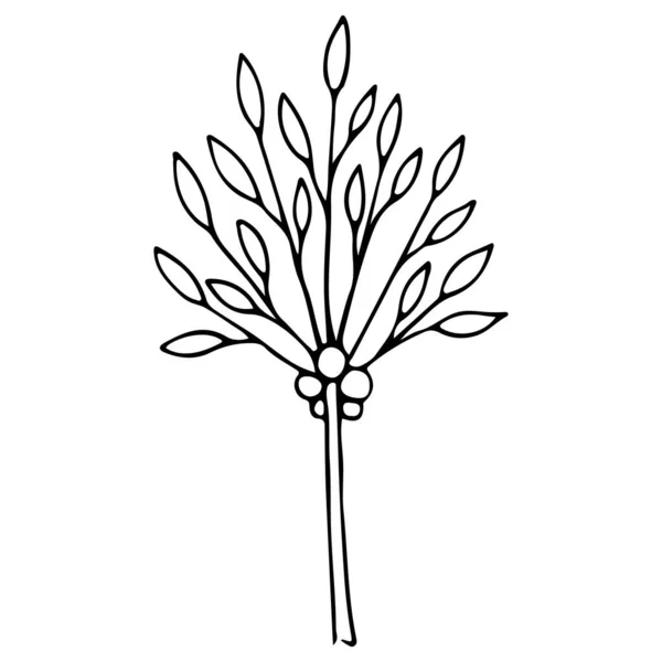 Árbol Con Hojas Ilustración Tinta Dibujada Mano Árboles Dibujados Mano — Vector de stock