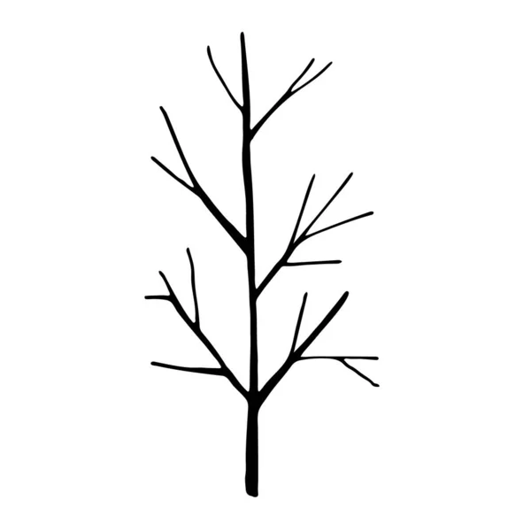 Простая Иллюстрация Контура Абстрактное Дерево Стиле Рисования — стоковый вектор