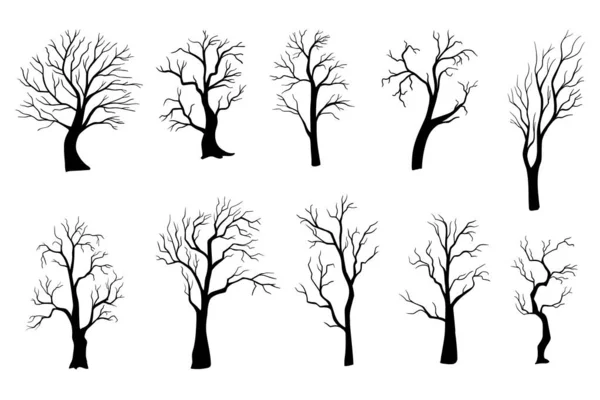 Läskigt Träd Siluett Vektor Isolerad Vitt Uppsättning Halloweenträd — Stockfoto