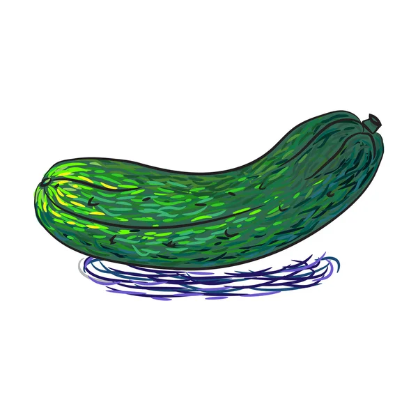 Cucumber — Stock Vector