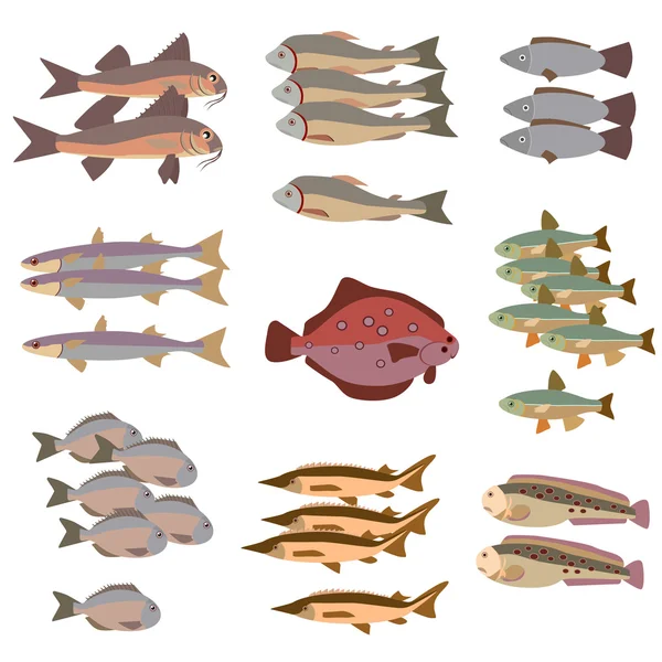 Ensemble de différents poissons style plat — Image vectorielle