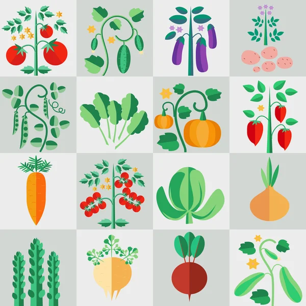 Ensemble de plantes pour le jardin — Image vectorielle