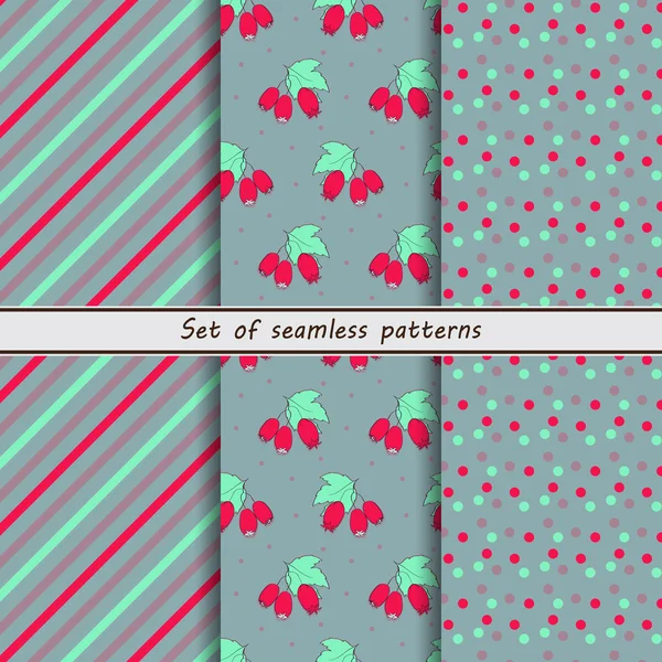 A set of seamless pattern with barberry — ストックベクタ