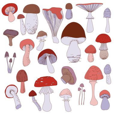 Beyaz bir arka plan üzerinde izole renkli mantar kümesi